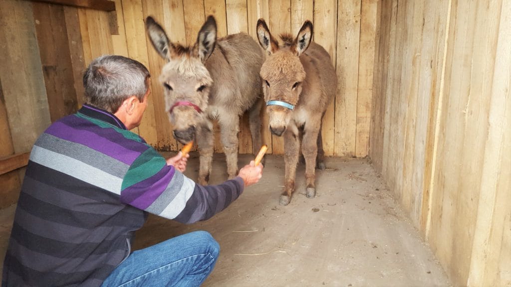 Veseud - wow place in the heart of Transylvania
