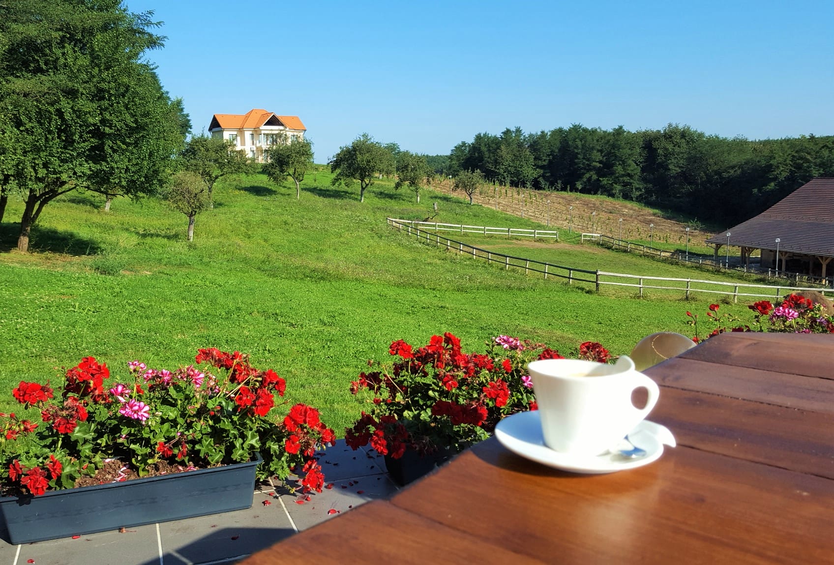 cazare intre transfagarasan si transalpina la pensiune