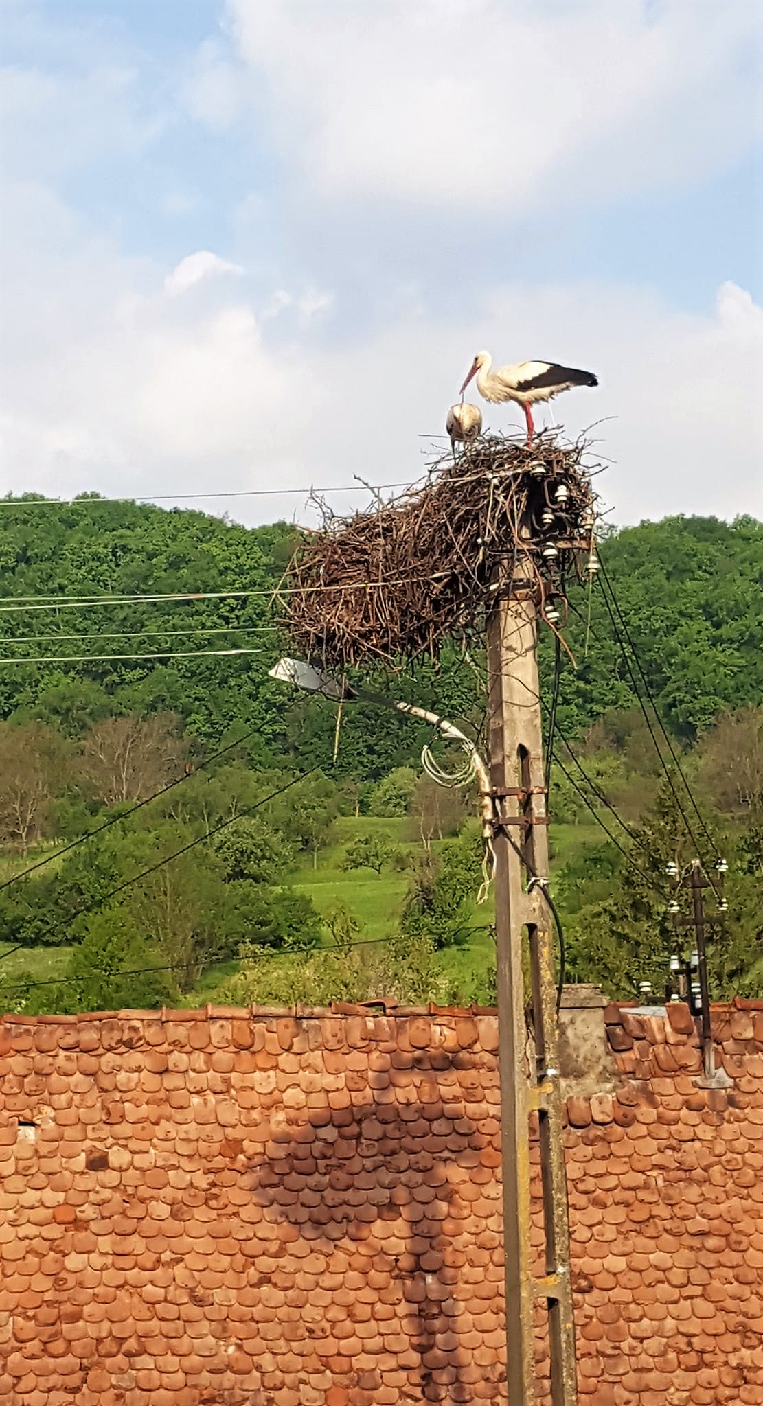 Saschiz transilvania romania