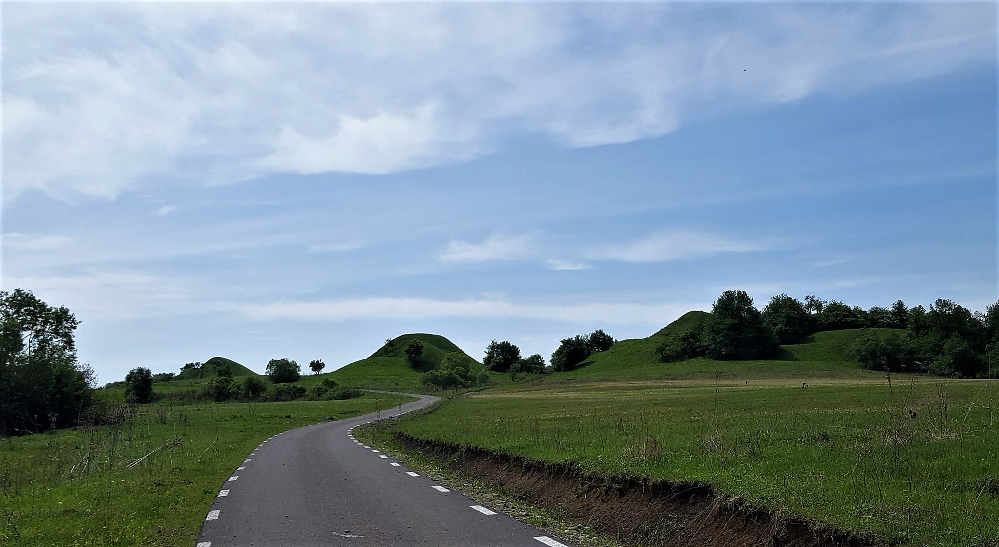 Saschiz Transilvania