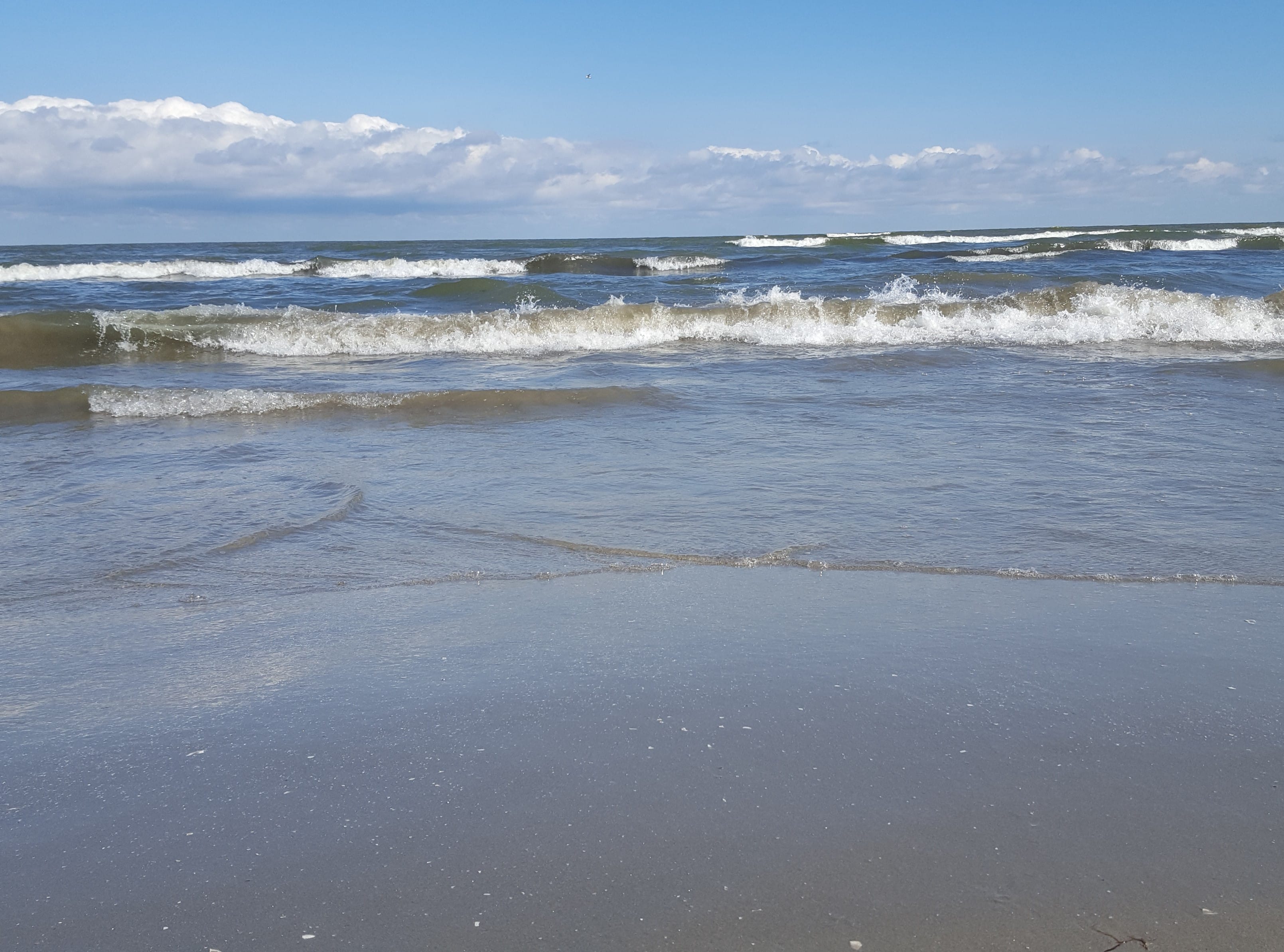 ce poti vedea in delta dunarii