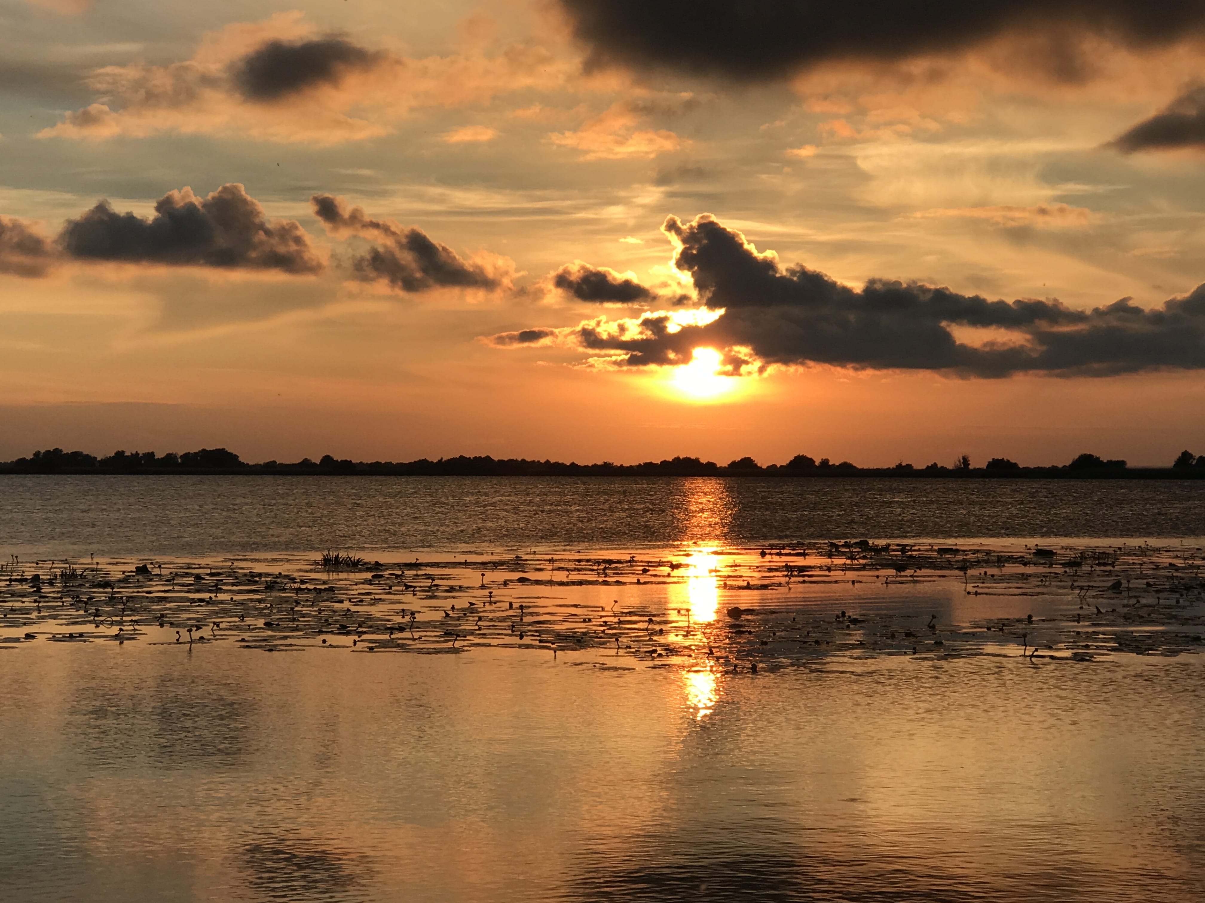 ce poti vizita in delta dunarii