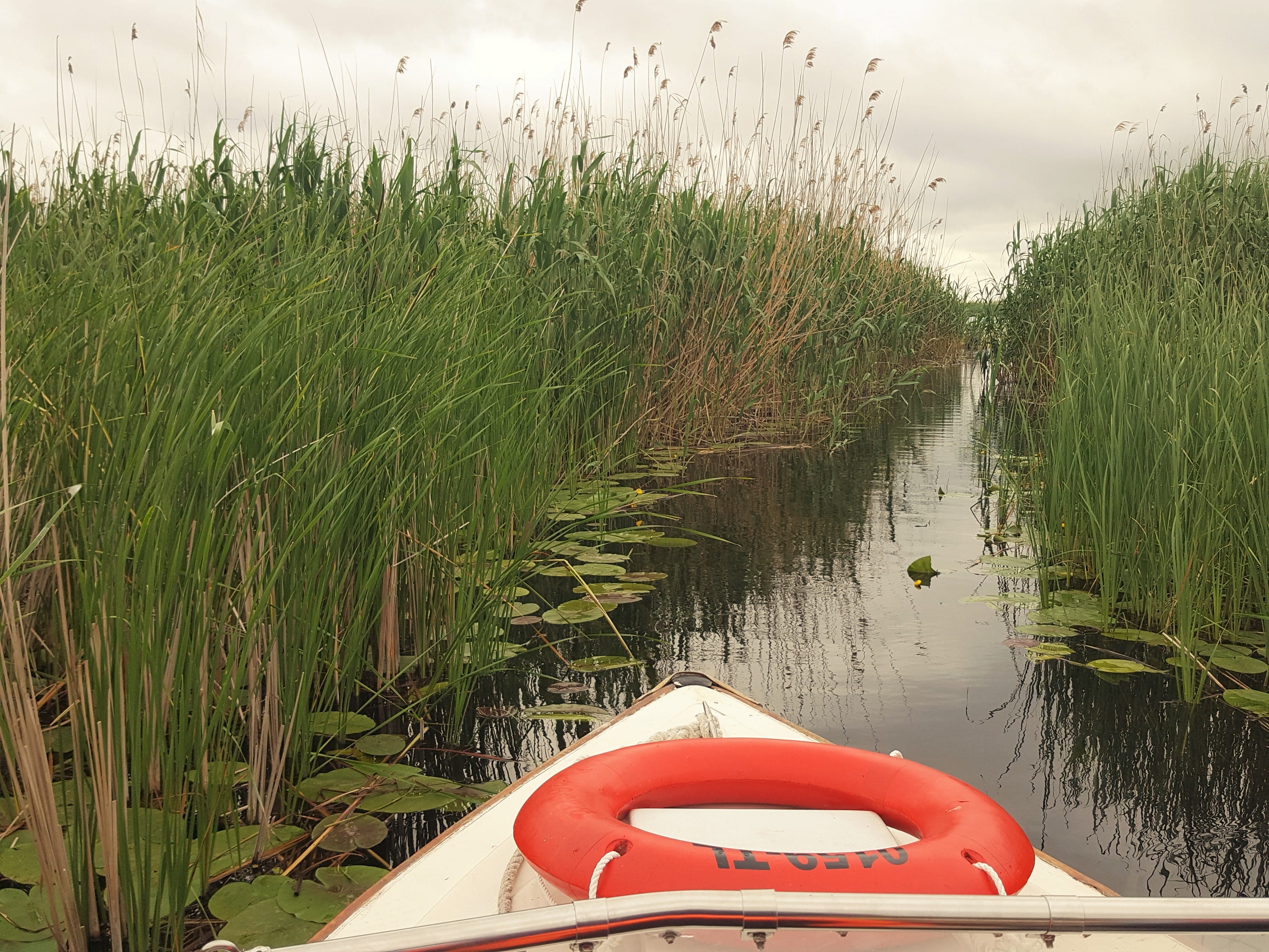 sejur in delta dunarii