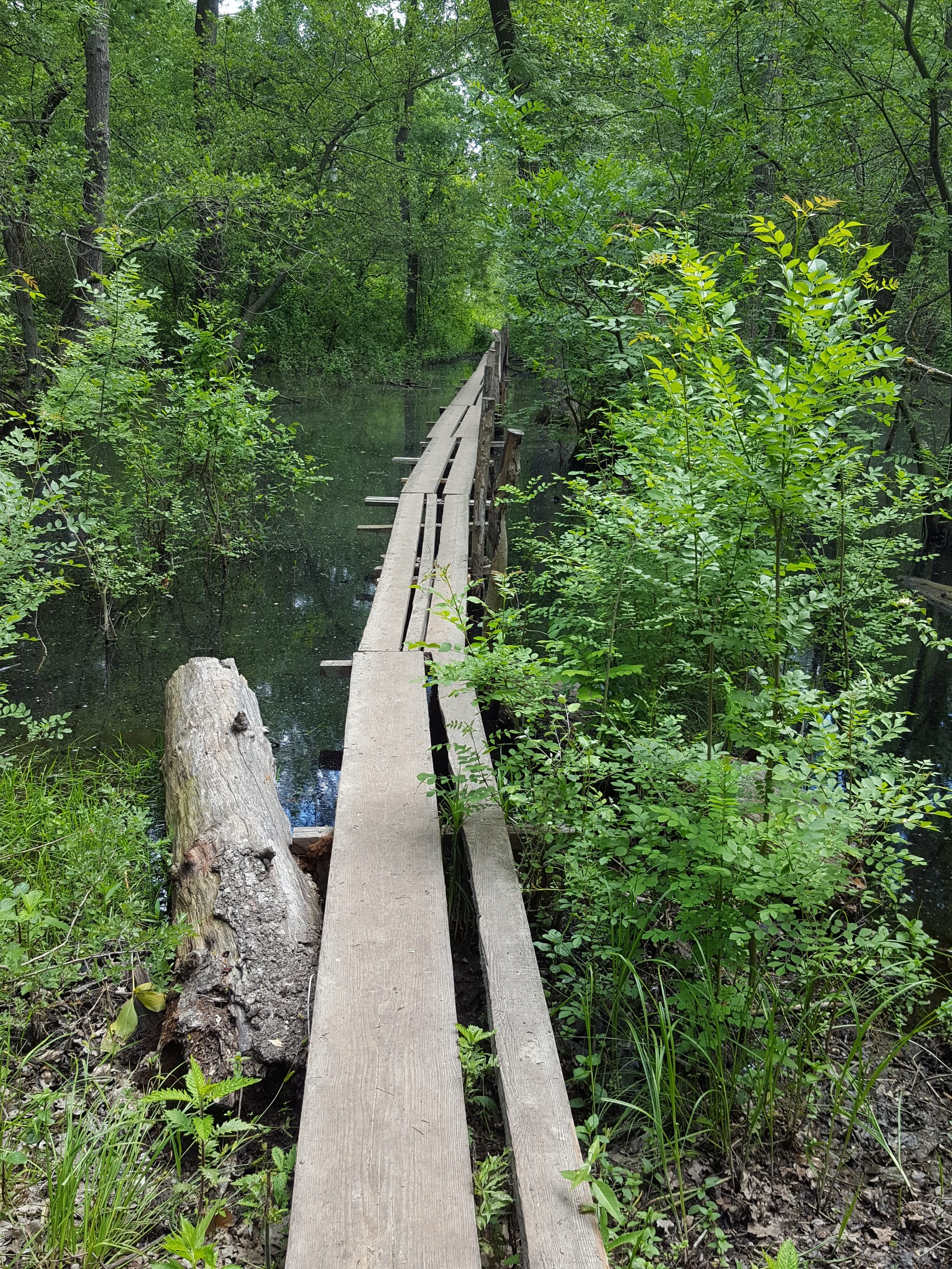 ce poti vizita in delta dunarii