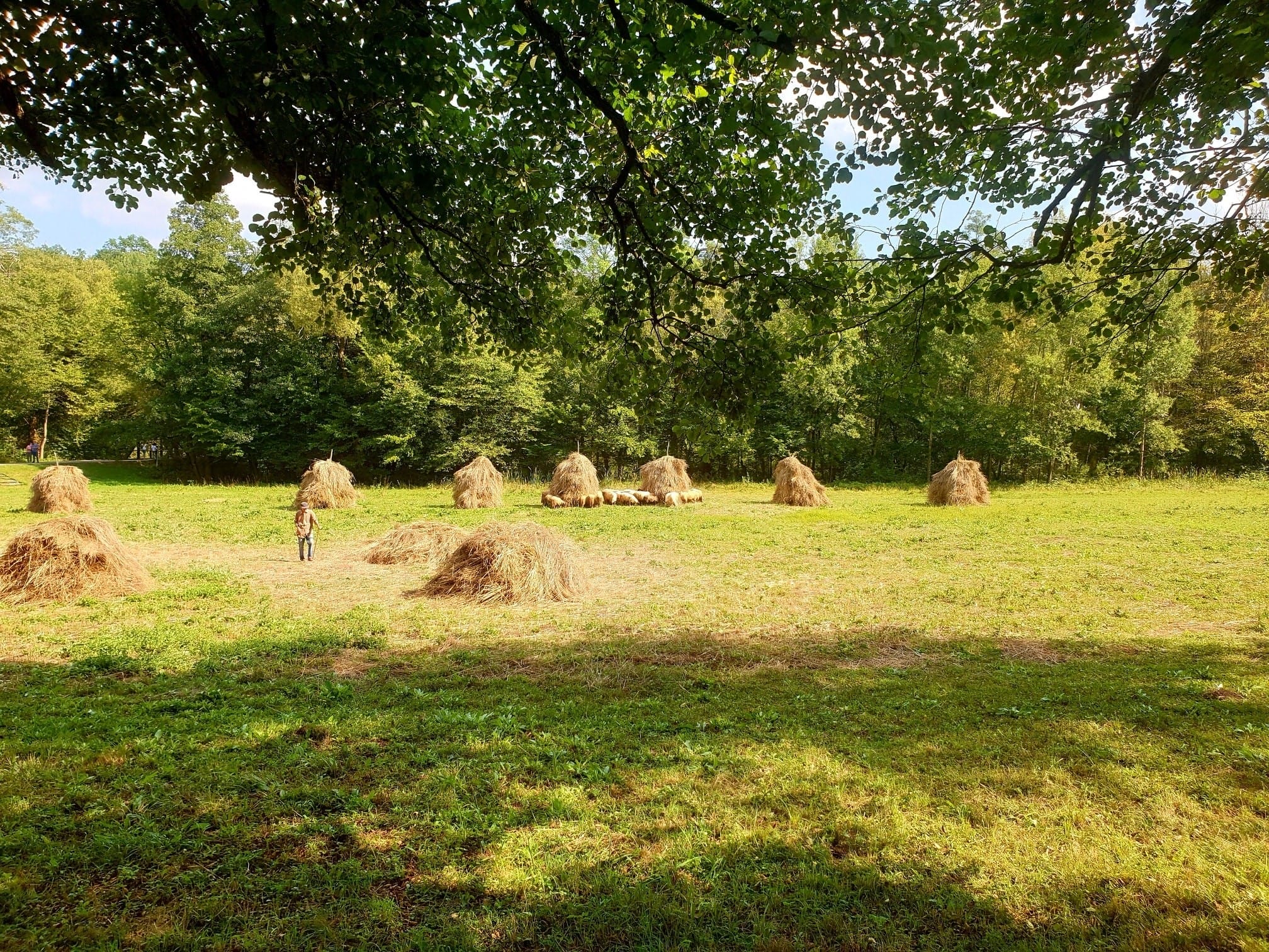 ce se poate vzita la sibiu