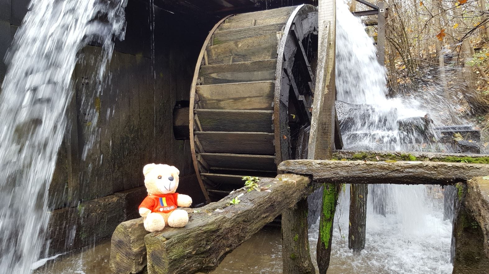 Ce se poate vizita intre Sibiu si Brasov?